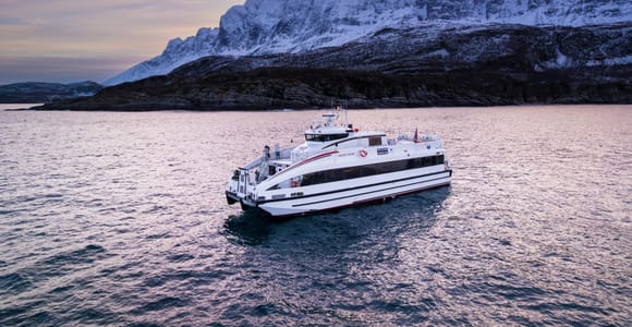 Tromsø: Whale Watching - fast and comfortable catamaran