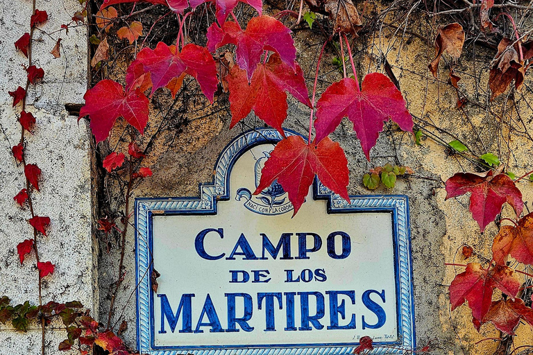 Arte urbano y visita a las cuevas de Granada