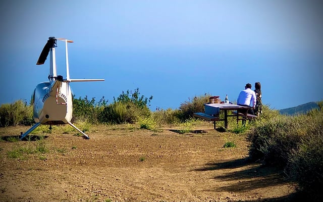 Excursión romántica en helicóptero por Los Ángeles con aterrizaje en la montaña