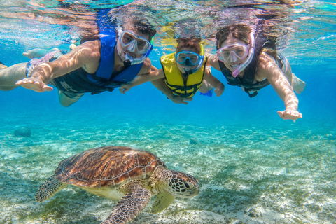 Marsa Alam: Marsa Mubarak Snorkel with Lunch & Transfer