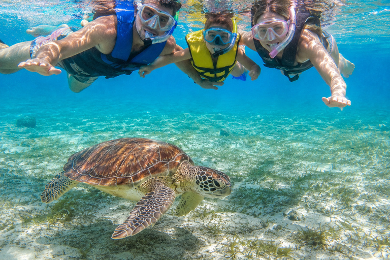 Marsa Alam: Marsa Mubarak Snorkel with Lunch & Transfer