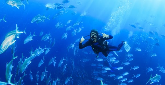 Los Cabos 3-Hour Certified Scuba Diving Tour
