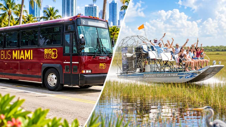 Las Mejores Actividades en Florida