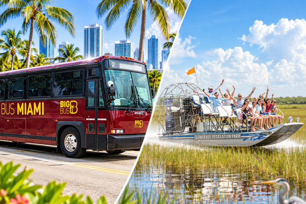 Miami: tour in airboat delle Everglades, mostra sulla fauna selvatica e bus A/R