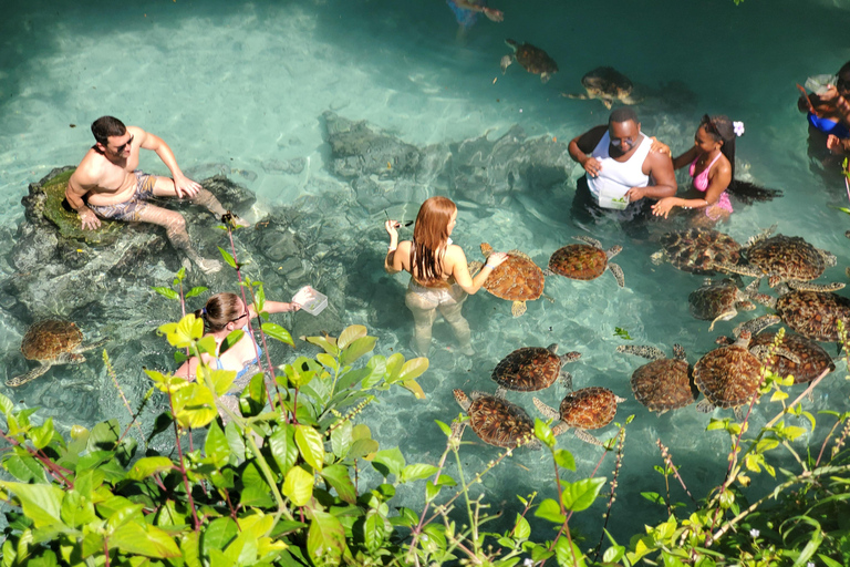 Salaam-grottan där man kan simma med sköldpaddor och Mtende-strandenPrivat tur från Paje, Kizimkazi, Michanvi, Jambiani