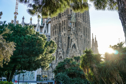 Barcelone : visite à pied de la Sagrada Família et du quartier gothiqueEnglish Guide