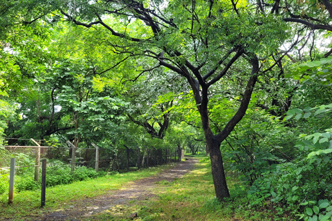 Mumbai: Parco Naturale del Maharashtra - Percorso naturalistico guidatoMumbai: Percorso naturalistico guidato nel Maharashtra Nature Park