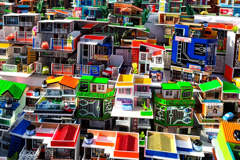 Copacabana, Sun Island 1 day private tour