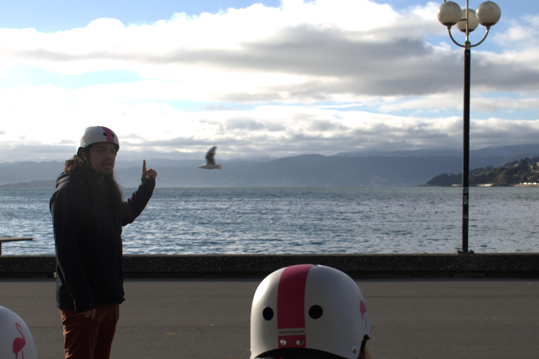 Wellington: Tour guidato in E-Scooter o E-Bike Māori Cultural