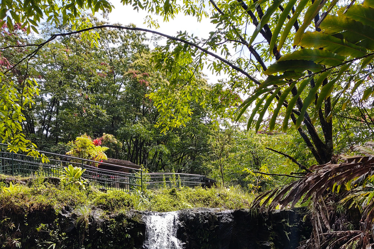 Maui: Halfway to Hana Black Sand Beach & Turtles Tour
