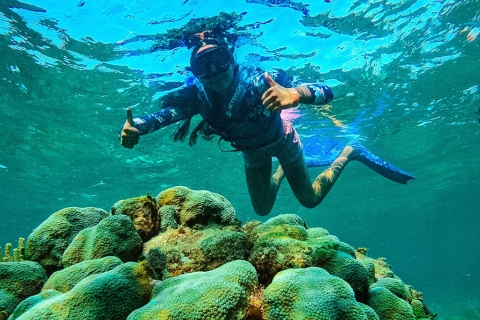 Cancun: Jungle Adventure with Reef Snorkeling