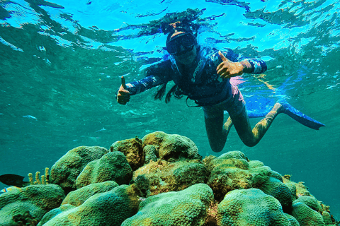 Cancun: Dschungelabenteuer mit Riffschnorcheln