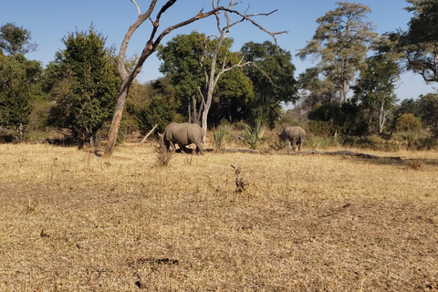 SAFARI EN VOITURE ET PROMENADE À LA RENCONTRE DES RHINOCÉROS