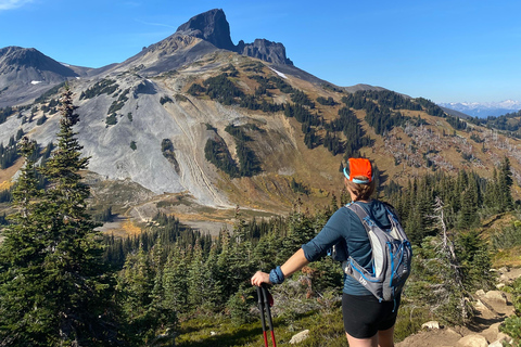Vancouver/Squamish: Garibaldi Park Panorama Ridge Hike