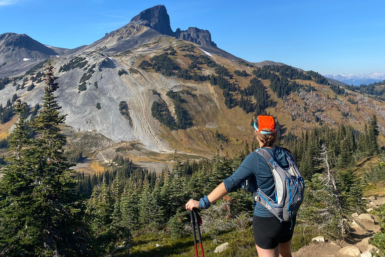 Vancouver/Squamish: Garibaldi Park Panorama Ridge Hike