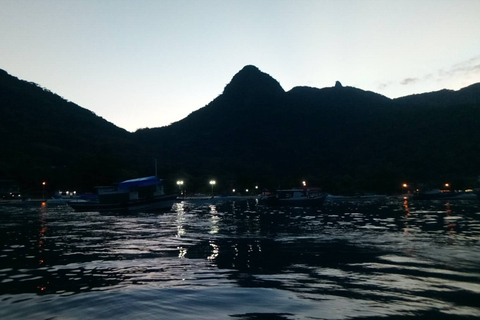 Ilha Grande (Abraão): Skytteltrafik till Rio de Janeiro