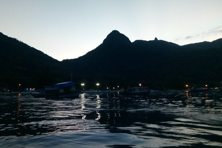 Ilha Grande (Abraão): Skytteltrafik till Rio de Janeiro