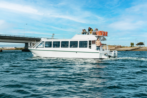 Port Adelaide: Dolphin and Ships Graveyard CruiseAdelaide: Port River Dolphin and Ships Graveyard Cruise