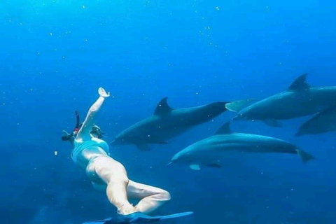 Aventure partagée d&#039;une demi-journée de plongée avec tuba et plage sur l&#039;île de Mnemba