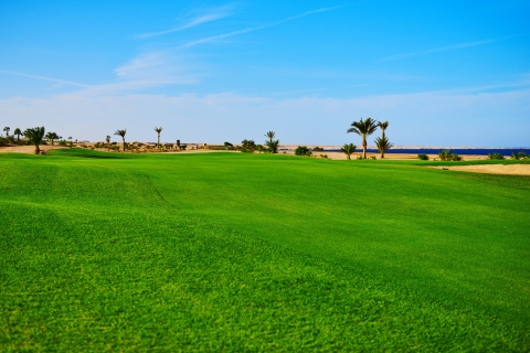 Hurghada: Golf en Madinat Makadi Golf ResortPaquete de 1 ronda de 18 hoyos