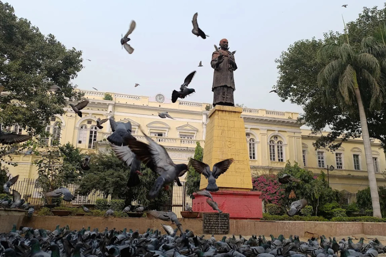 Nueva Delhi: Fuerte Rojo, Jama Masjid y Chandni Chowk con almuerzoTour por el Fuerte Rojo, Jama Masjid y Chandni Chowk