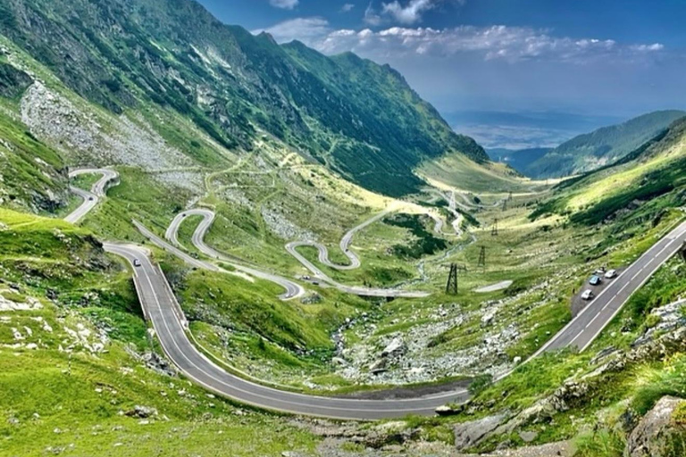 PREMIUM TOUR: Bears Safari on Transfagarasan Road