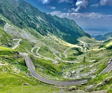 PREMIUM TOUR: Bears Safari on Transfagarasan Road