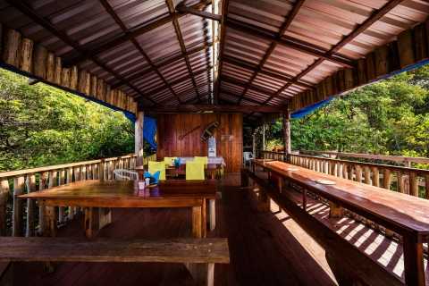 Od Manaus: 2, 3, 4 lub 5-dniowa wycieczka dżungla w Tucan Lodge3-dniowa / 2-dniowa wycieczka