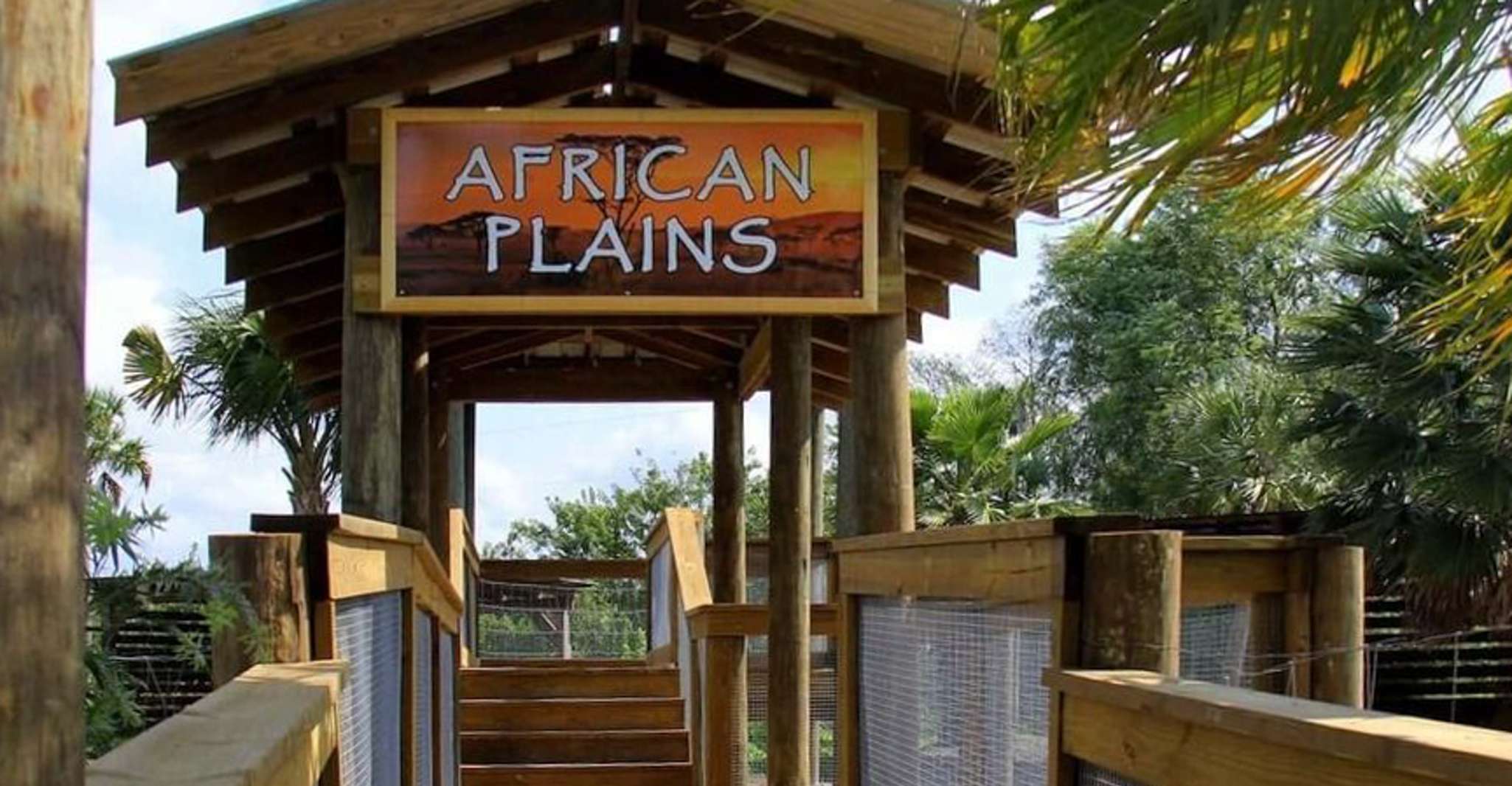 Orlando, Wild Florida Airboats & Gator Park Experience - Hizvo