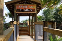 Orlando, Wild Florida Airboats & Gator Park Experience - Hizvo