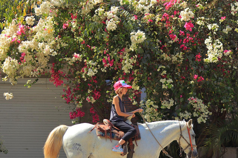 Reiten Tour SayulitaReiten Tour Long SAYULITA