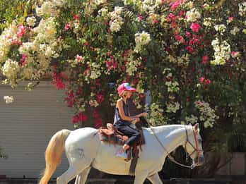 Sayulita: Horseback Riding Tour