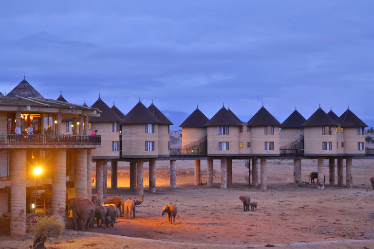 5 dagars safari i Tsavo East/West och Saltlick Lodge