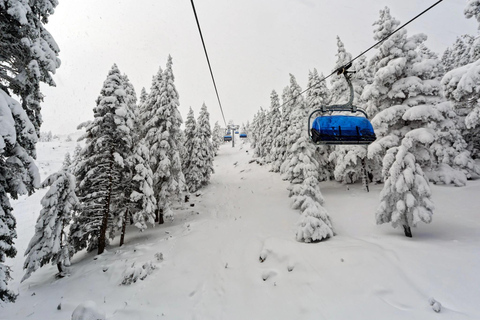 From Tbilisi: Borjomi and Bakuriani Ski Resort Private Tour