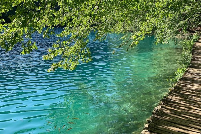Visit Croatia Plitvice Lakes Private Tour with Hotel Pickup in Plitvice Lakes