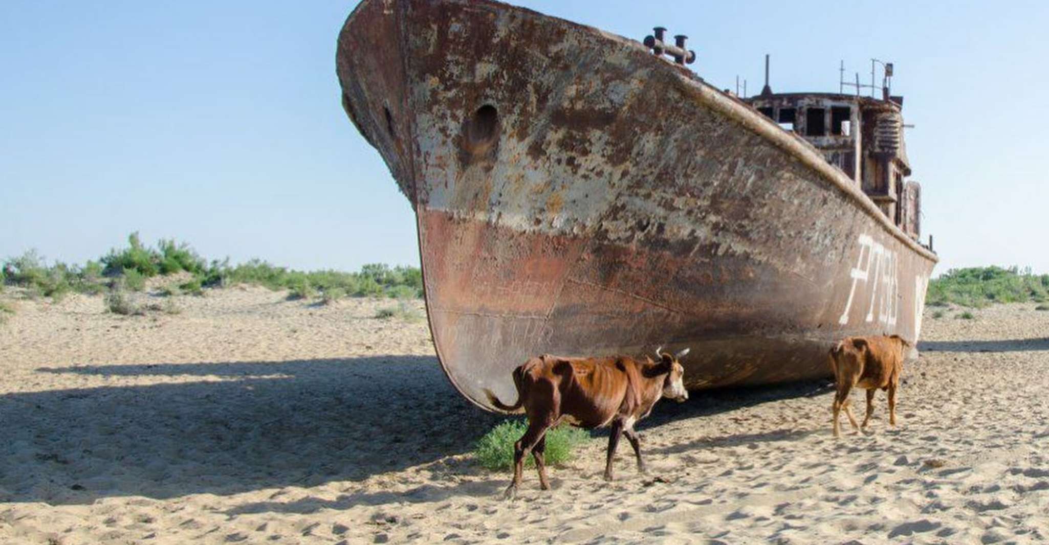 Aral Sea One Day Tour from Tashkent - Housity