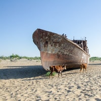 Aral Sea One Day Tour from Tashkent - Housity