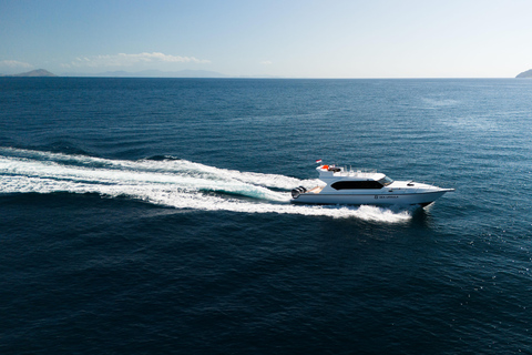 Labuan Bajo: Komodo National Park Adventure with Speedboat