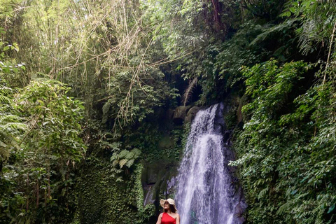Ubud: Discover Hidden Waterfalls with Swing & Rice Terrace Private Tour with Entry Tickets