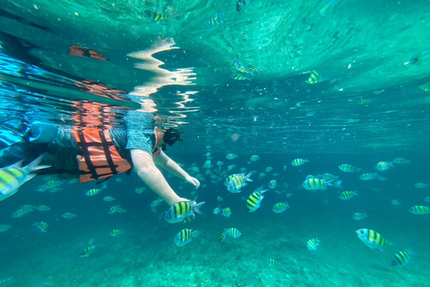 Phi Phi Islands: Shark Snorkeling Phi Phi Islands: PRIVATE VIP Shark Snorkeling - 4h