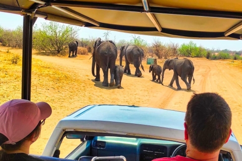 Chutes Victoria : Safari dans le parc national du ZambèzeVisite en petit groupe