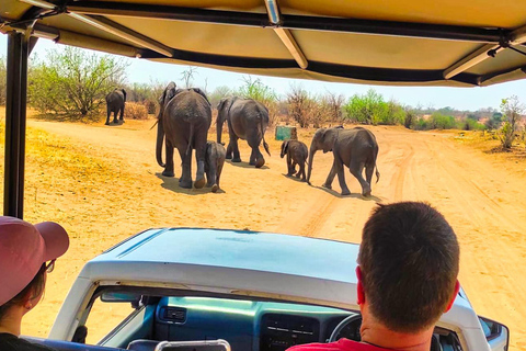 Escursione di un giorno dalle Cascate Vittoria: Safari terrestre e fluviale nel Chobe NP