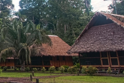 Madre de Dios-Inkaterra Amazonas-Reservat Erfahrung 4 Tage Tour