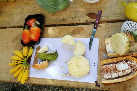 Salvador : visite de dégustation de fruits tropicaux dans un marché localDégustation privée de fruits