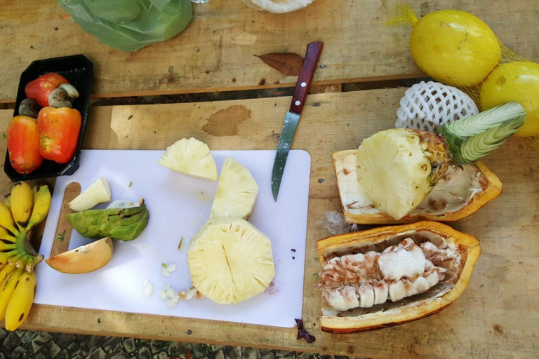 Salvador : visite de dégustation de fruits tropicaux dans un marché localDégustation privée de fruits