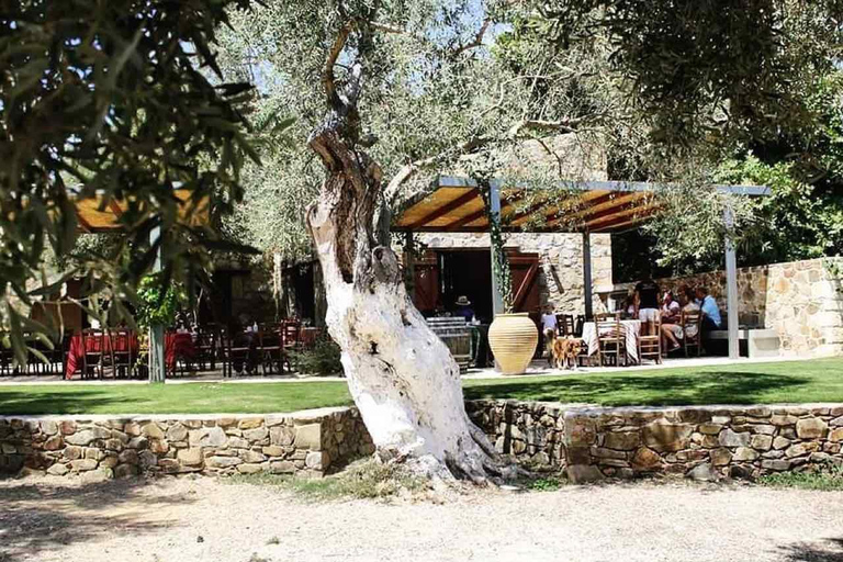 Chania: Visita a la Bodega Manousakis con Cata de Vinos