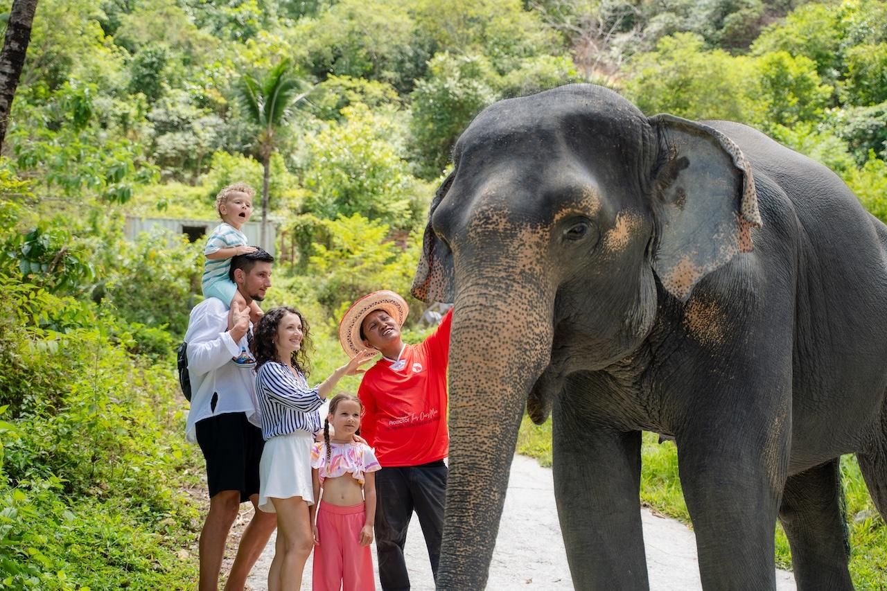 Phuket: Ethisches Elefanten-Schutzzentrum mit Transfer