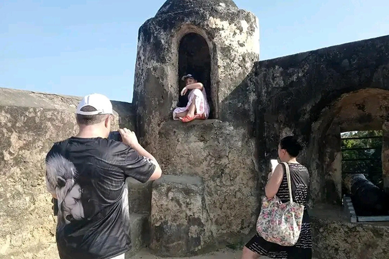 Mombasa: Tour guiado na cidade e alimentação de girafas no Haller Park.