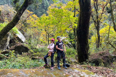 Journey Through Langtang: A 6-Day Trek with Meals