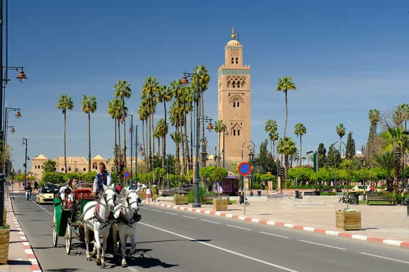 Top-rated Marrakech Horse-drawn Carriage Night Tour 